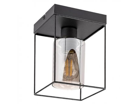 RABALUX Chadwick 71031 E27 25 W Plafonjera