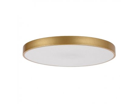 RABALUX Tesia 71038 LED 60 W Plafonjera