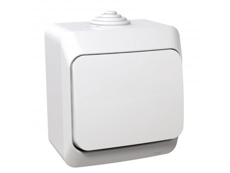 Schneider Electric Jednopolni prekidač Cedar Plus 16AX beli