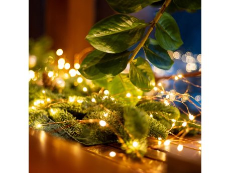 HOME Lampice za jelku sa 30 toplo belih LED dioda ML30/WW