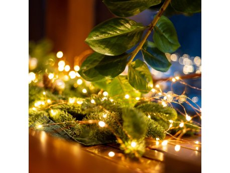 HOME Lampice za jelku sa 50 toplo belih mikro LED dioda ML50/WW