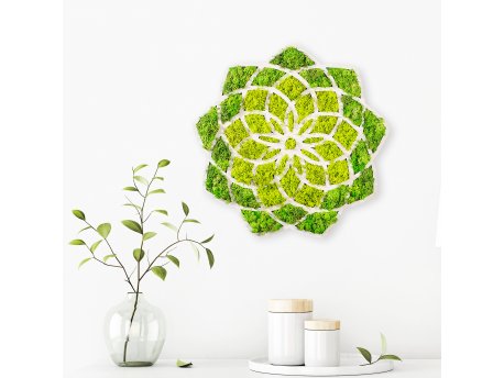 WALLXPERT Zidna dekoracija Daisy
