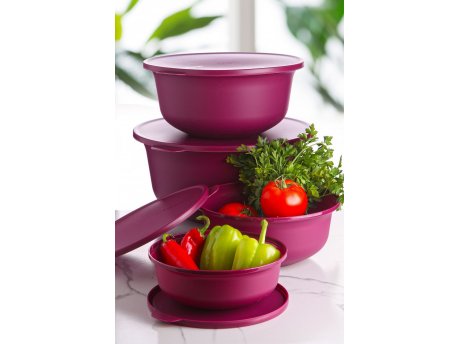 HERMIA Set kutija za čuvanje hrane YUVPUR04 1248
