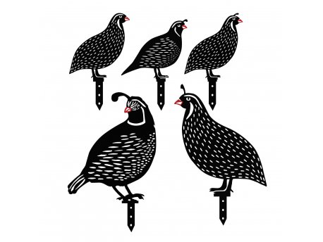 WALLXPERT Dekorativni set Quails