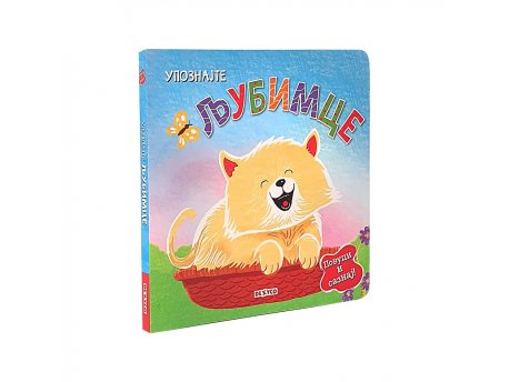 DEXY CO Povuci i saznaj - upoznaj ljubimce (DEXY4416)