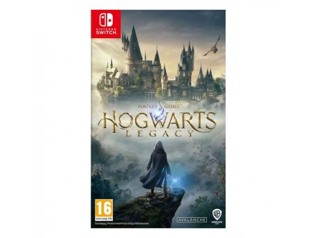 Warner Bros Switch Hogwarts Legacy