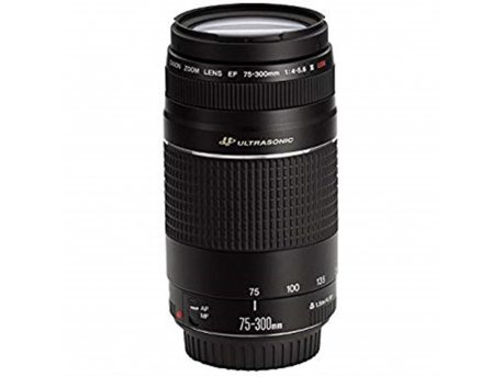 CANON EF 75-300mm F4-5.6 III