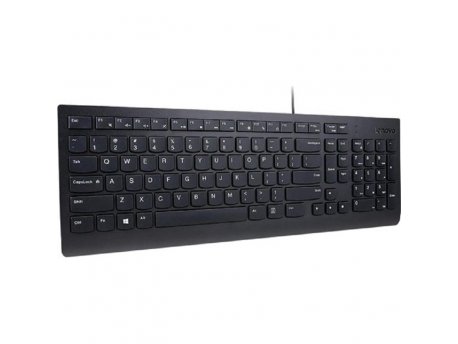LENOVO Essential žična USB tastatura, US raspored (4Y41C68642)