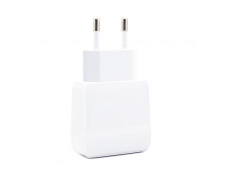 TERACELL Evo LP01 Kućni punjač sa micro USB kablom