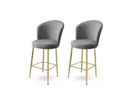 HANAH HOME Set 2 barske stolice Fora Grey Gold