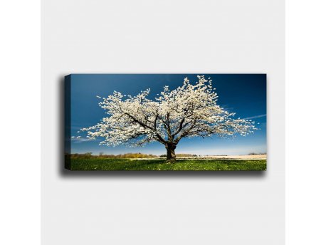 WALLXPERT Dekorativna slika YTY1233464_50120