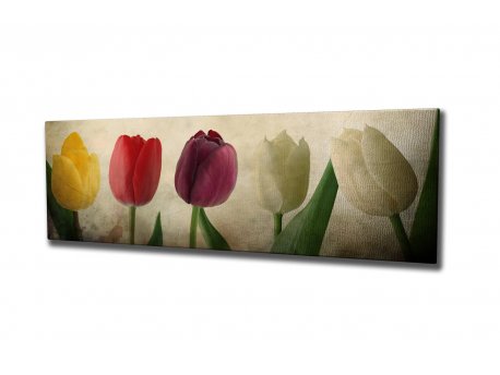 WALLXPERT Dekorativna slika PC147