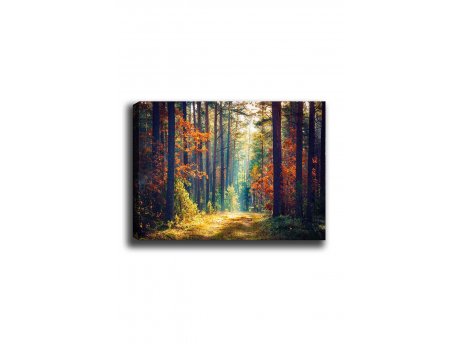 WALLXPERT Dekorativna slika Kanvas Tablo (50 x 70) 274