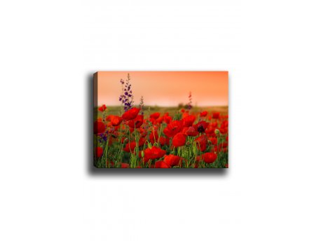 WALLXPERT Dekorativna slika Kanvas Tablo (50 x 70) 1