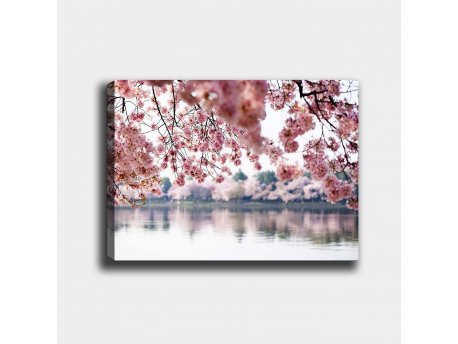 WALLXPERT Dekorativna slika 102307675_70100