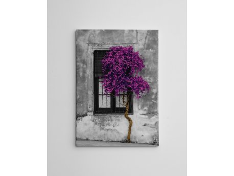 WALLXPERT Dekorativna slika WY239 (50 x 70)