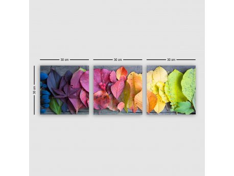 WALLXPERT Dekorativna slika P2253353