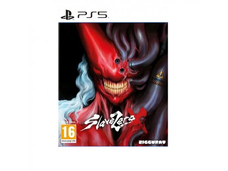 Nighthawk Interactive PS5 Slave Zero X