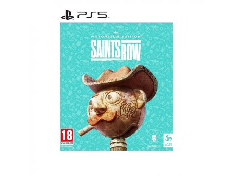 DEEP SILVER PS5 Saints Row - Notorious Edition