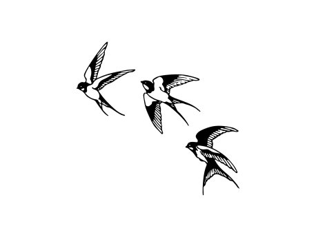 WALLXPERT Zidna dekoracija Swallows 294