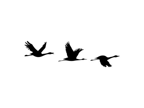 WALLXPERT Zidna dekoracija Mallard