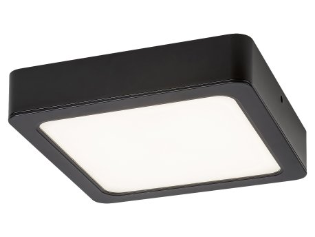 RABALUX Shaun 2689 LED plafonjera