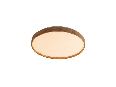 RABALUX Leana 6580 LED plafonjera