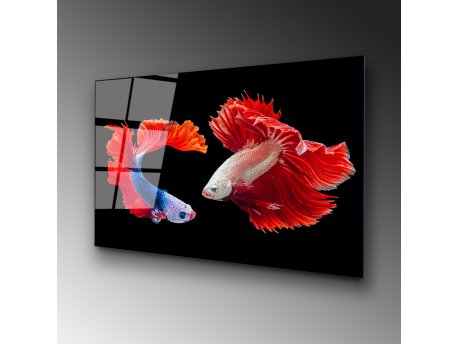 WALLXPERT Dekorativna slika od kaljenog stakla FISHES (UV 167) 70 x 100 cm