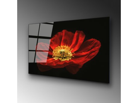 WALLXPERT Dekorativna slika od kaljenog stakla Cvetan cvet crvenog maka (UV 204) 70 x 100cm