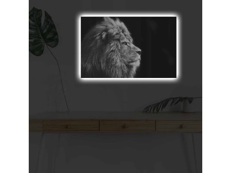 WALLXPERT Slika na platnu sa LED osvetljenjem 4570DHDACT 058