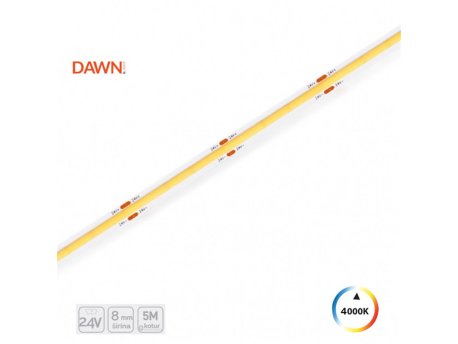 DAWN HL COB NW 24V LED traka