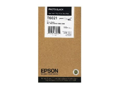 EPSON Toner T6021 (C13T602100)