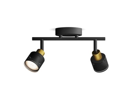 PHILIPS Spot svetiljka Niall GU10 2 x 5W