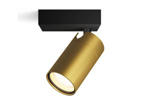 PHILIPS Spot svetiljka Idris GU10 5 W