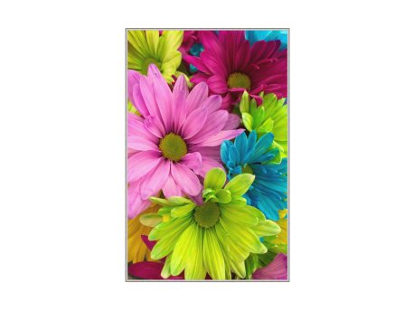 Conceptum Hypnose Tepih (50 x 80) WOOKECE070