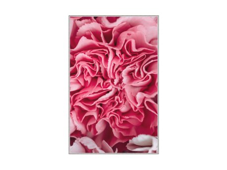 Conceptum Hypnose Tepih (50 x 80) WOOKECE085