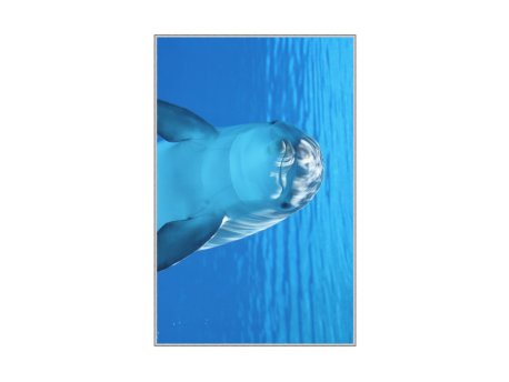 Conceptum Hypnose Tepih (60 x 100) WOOKECE068