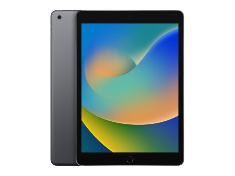 APPLE IPad 9th Gen 10.2 inch A13 WiFi 256GB Space Gray (fk2n3ll/a)
