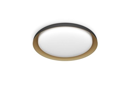 PHILIPS Pebblo UE SS 10W 40K plafonjera crna