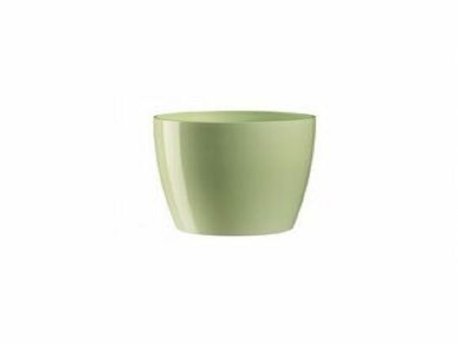DiMartino SAKSIJA RIO BABY GREEN 20 400241