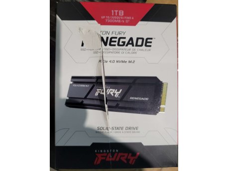 KINGSTON 1TB M.2 NVMe SFYRSK/1000G V2 SSD FURY Renegade OUTLET