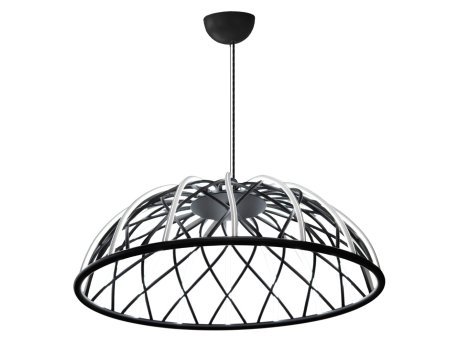 OPVIQ 3229 2A 19 Black luster