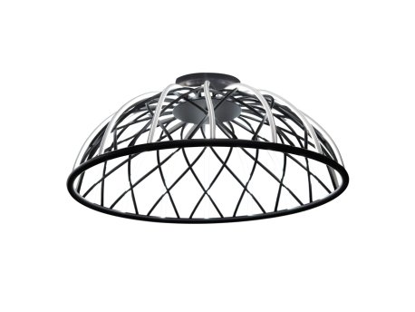 OPVIQ 3229 2 19 Black luster