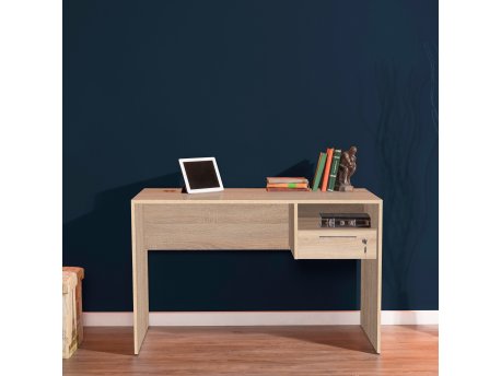 HANAH HOME Radni sto Cms 510 Ss 1