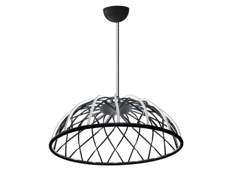 OPVIQ 3229 1A 19 Black luster
