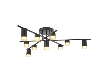 OPVIQ L1591 Black luster