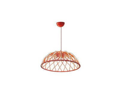 OPVIQ 3229 1 06 Red luster