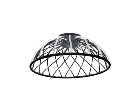 OPVIQ 3229 1 19 Black luster