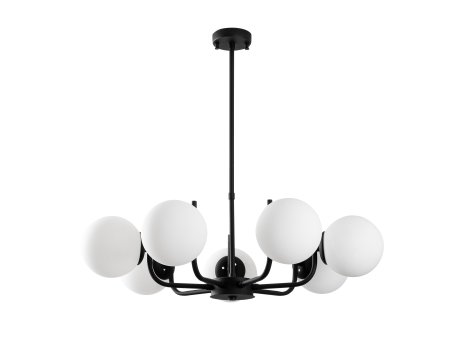 OPVIQ Antler 13769 crni luster