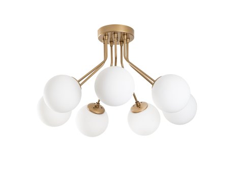 OPVIQ Orıon 13967 luster